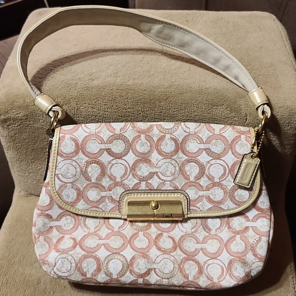 Small Coach bag
